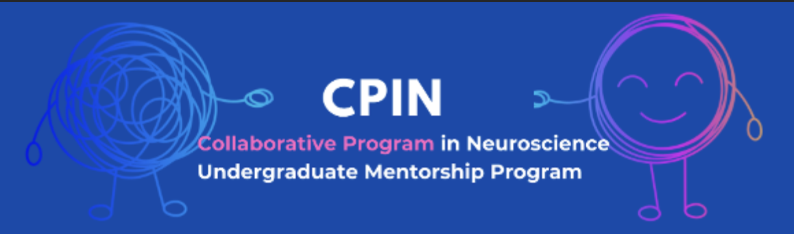 Undergraduate Mentorship Program